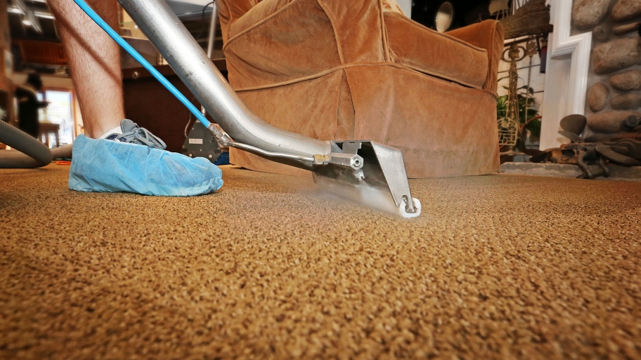 Regina Carpet Cleaner Parts Carpet Vidalondon